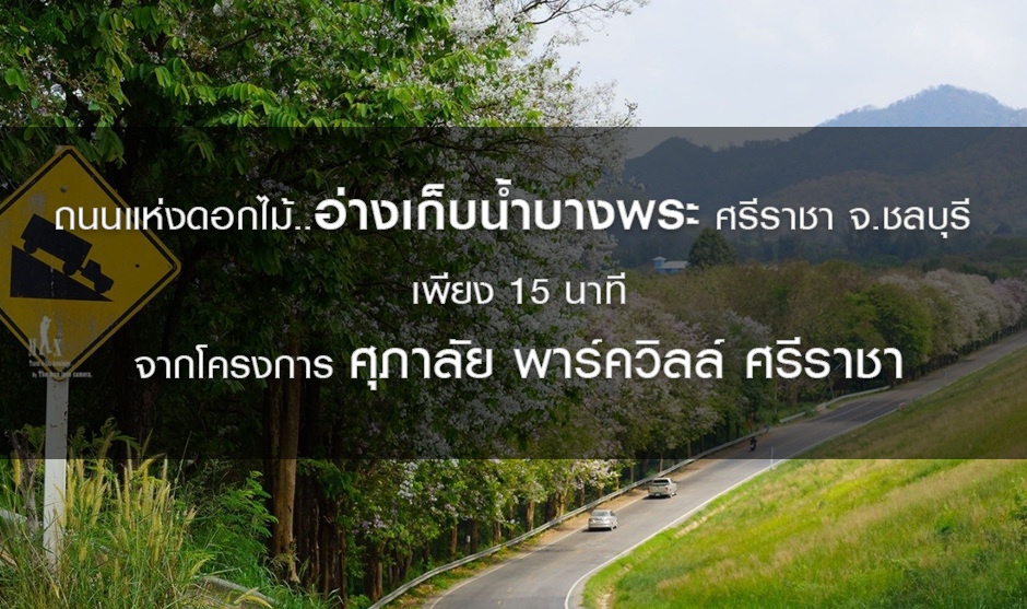อ่างเก็บน้ำบางพระ_.jpg