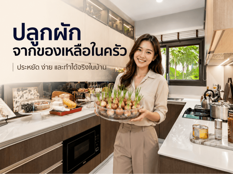 ปลูกผักจากของเหลือในครัว ประหยัด ง่าย และทำได้จริงในบ้าน