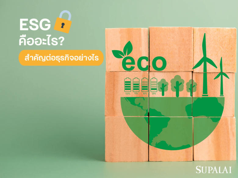รู้จักกับ ESG คืออะไร? แนวคิดที่ช่วยพัฒนาองค์กรอย่างยั่งยืน