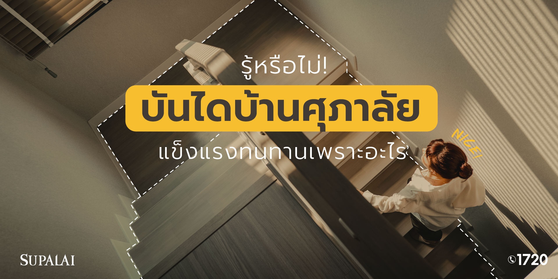 2209-ขั้นบันได-เลือกไงดีนะ-01.jpg