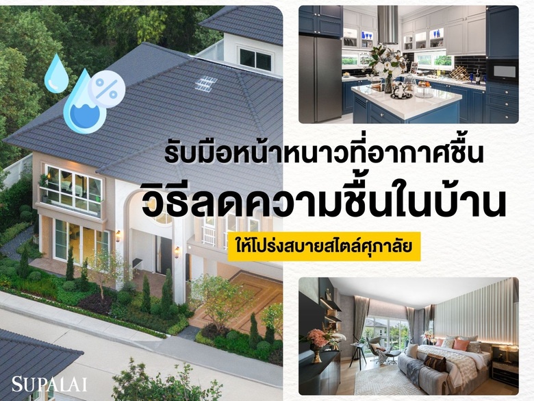 รับมือหน้าหนาวที่อากาศชื้น รวมวิธีลดความชื้นในบ้าน ให้โปร่งสบายสไตล์ศุภาลัย