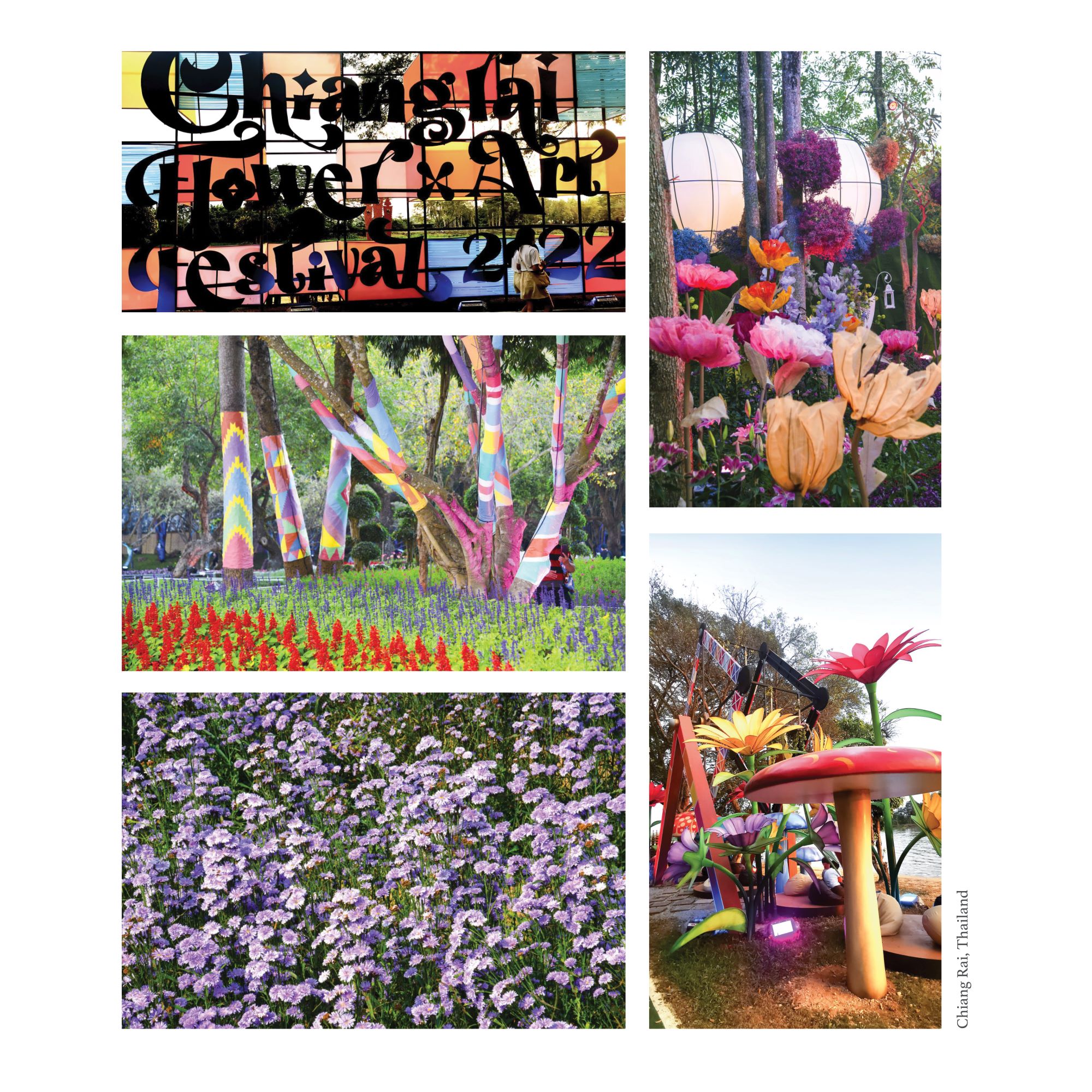 เปิดตัวหนังสือและนิทรรศการประทีปทัศน์ 5_07_0