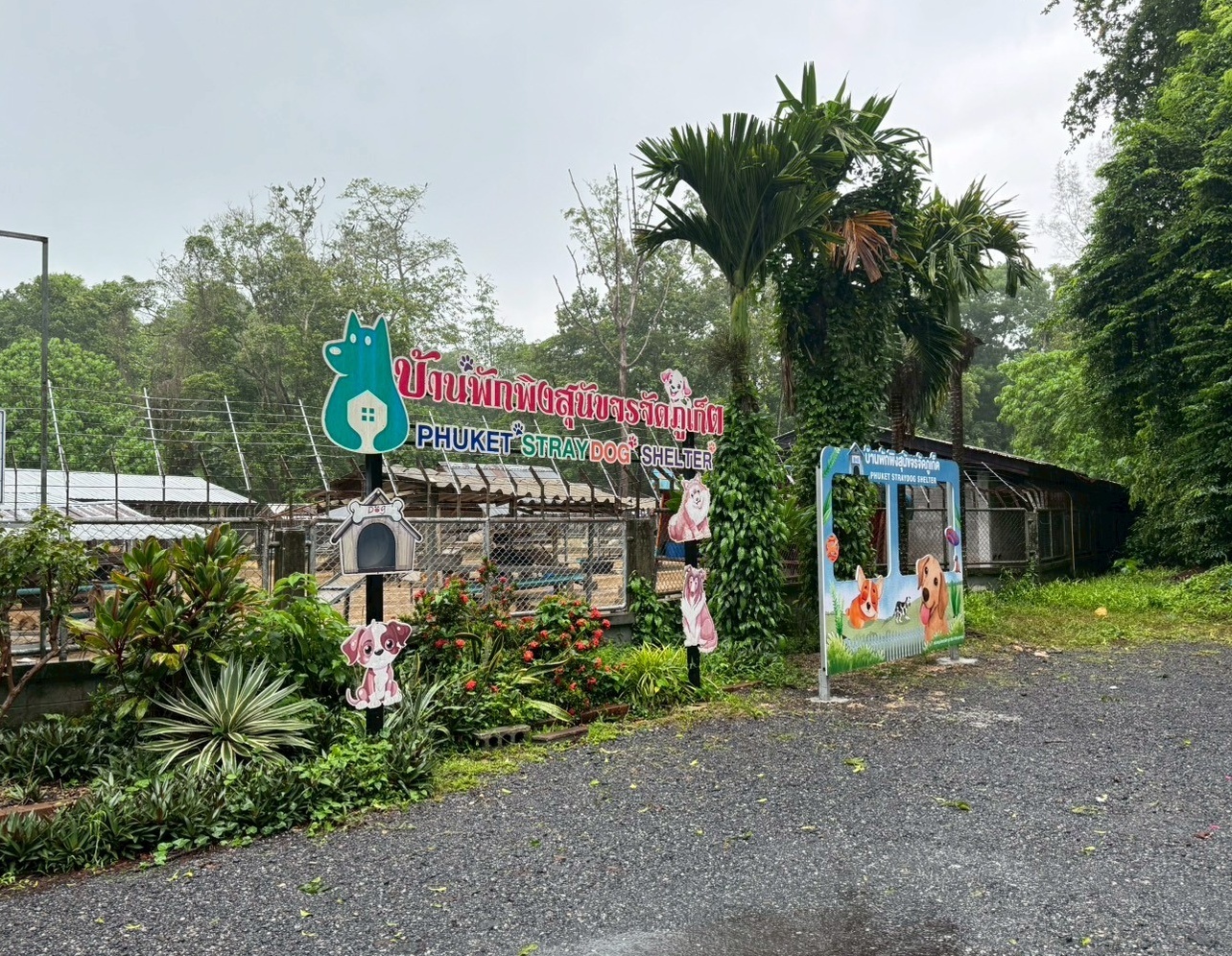 SUPALAI_CSR ภูเก็ต 4