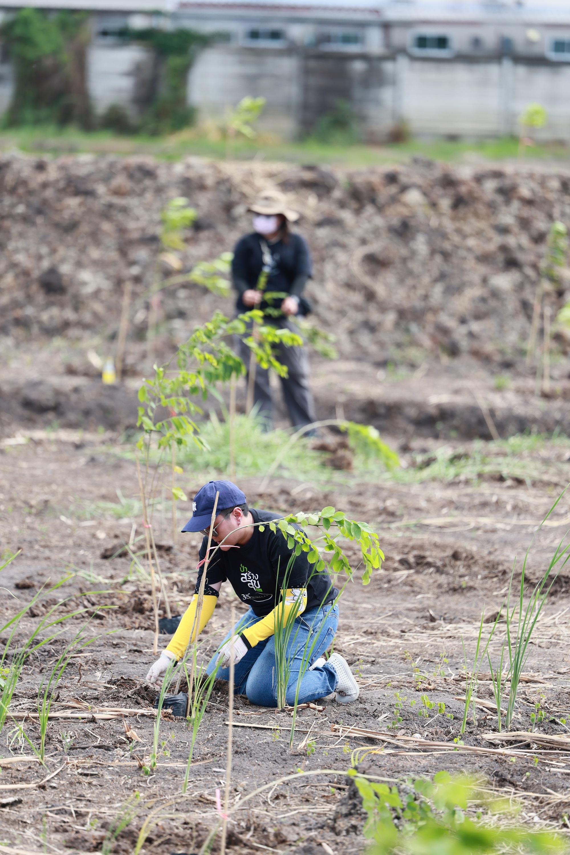 ศุภาลัย สร้างดี เพิ่มพื้นที่สีเขียวใกล้กรุง ลุยพลิกฟื้นที่ดินจ.ปทุมฯ_10
