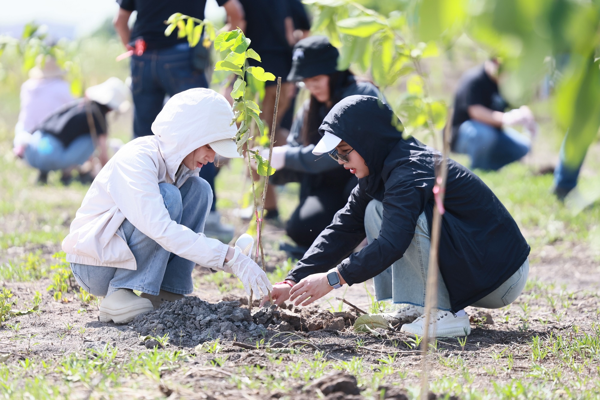 ศุภาลัย สร้างดี เพิ่มพื้นที่สีเขียวใกล้กรุง ลุยพลิกฟื้นที่ดินจ.ปทุมฯ_04