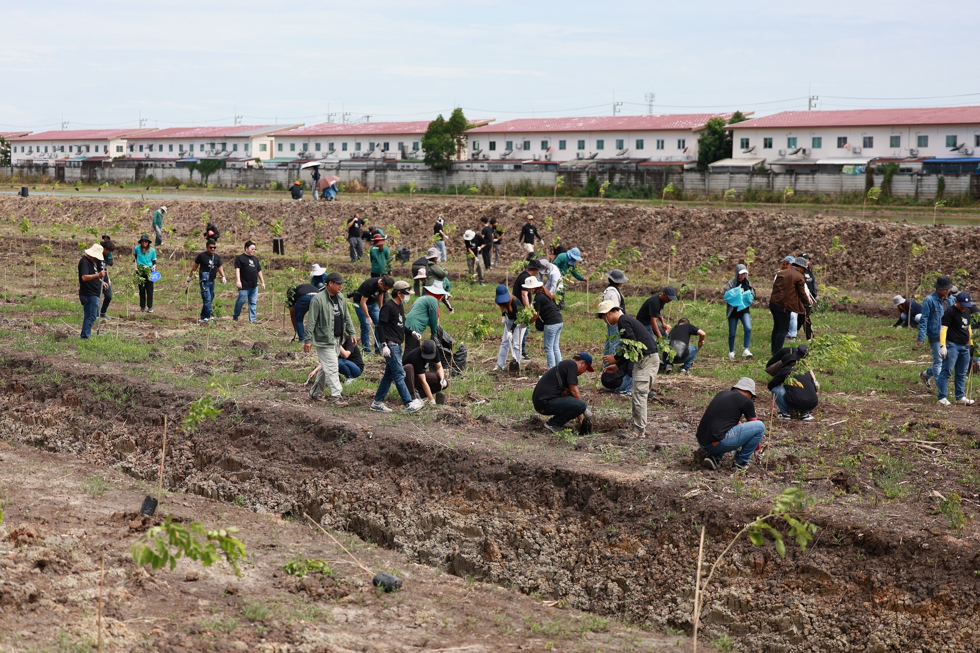 ศุภาลัย สร้างดี เพิ่มพื้นที่สีเขียวใกล้กรุง ลุยพลิกฟื้นที่ดินจ.ปทุมฯ_09