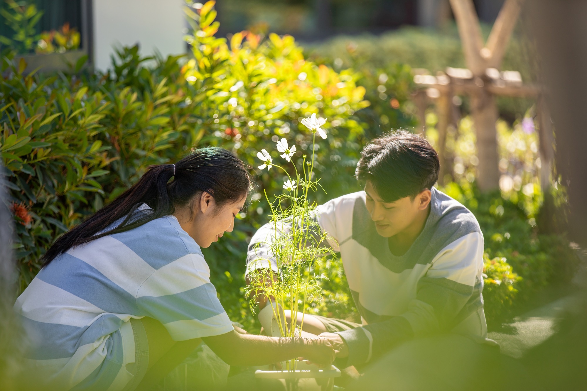 ศุภาลัย ฉลองครบรอบ 35 ปีสุดอบอุ่น ผ่านเพลงรัก_07