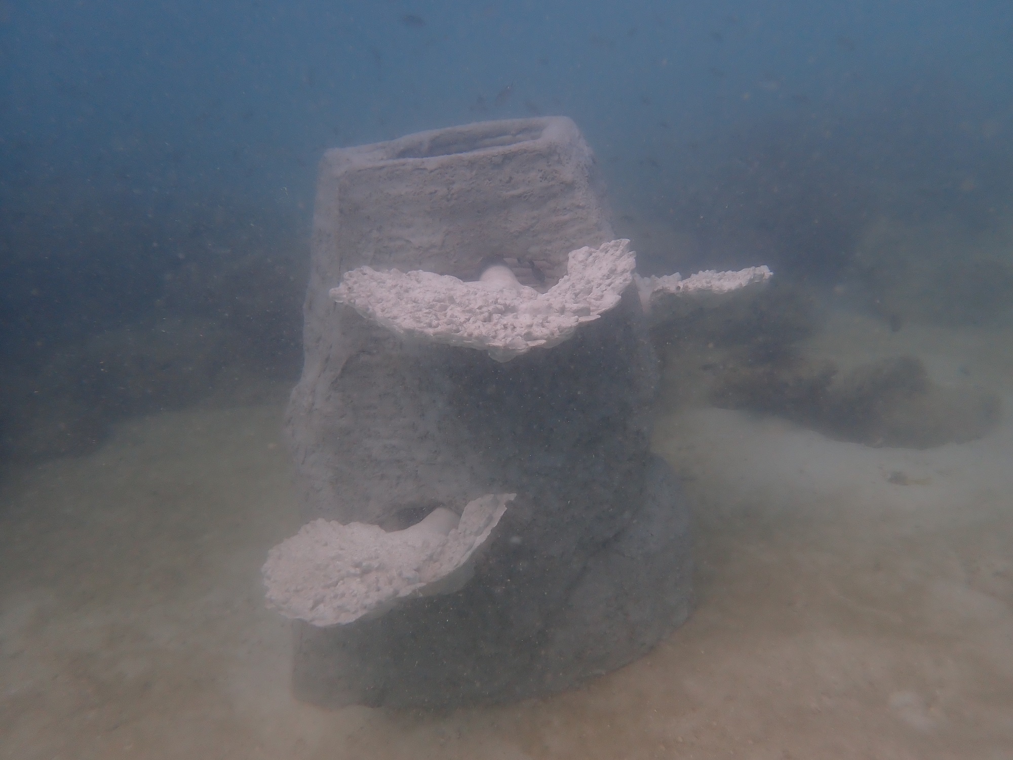 ศุภาลัย ลงเรือวางบ้านปะการัง_13