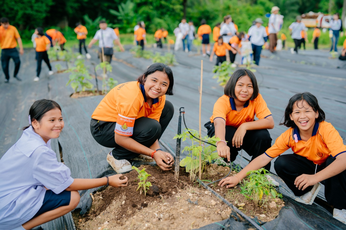 สวนผักสร้างดี_04