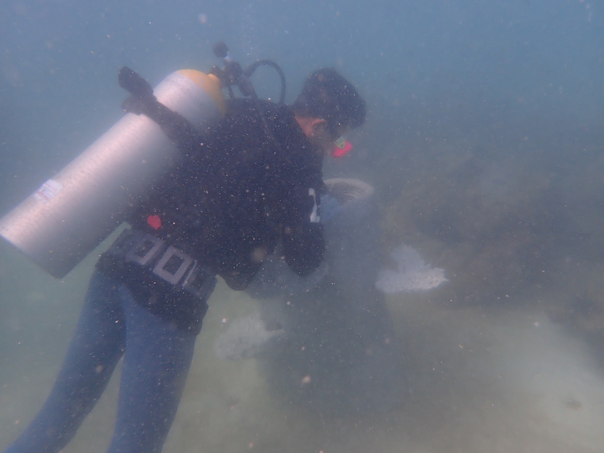 ศุภาลัย ลงเรือวางบ้านปะการัง_12