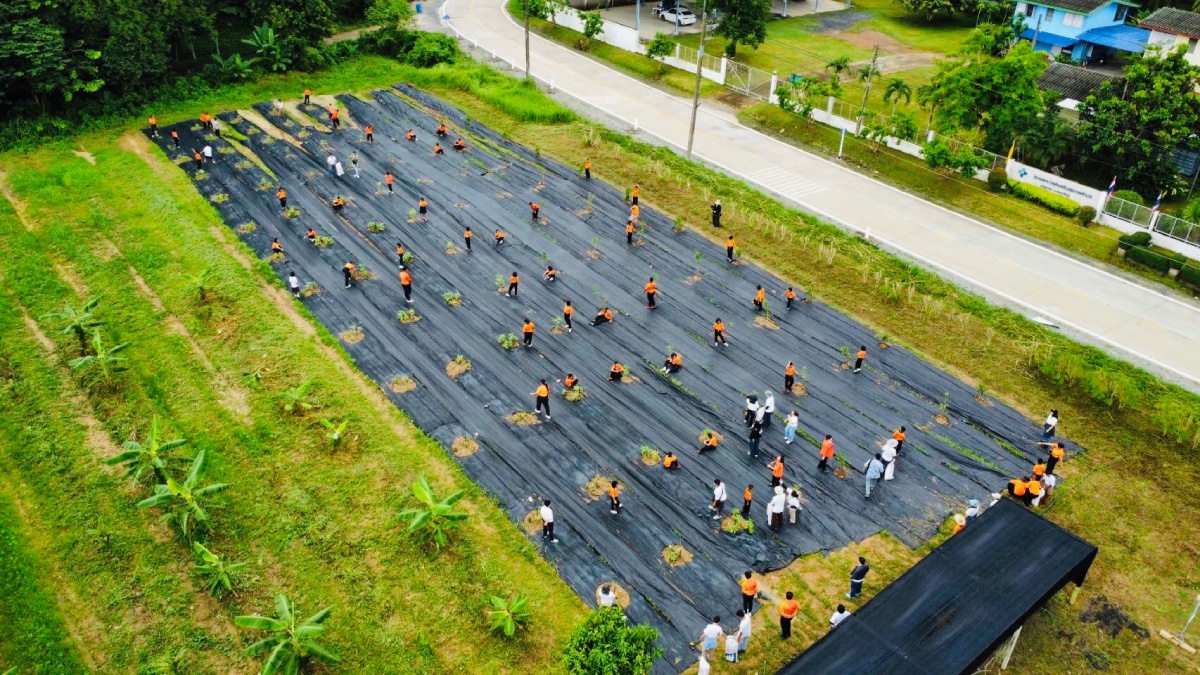 สวนผักสร้างดี_02