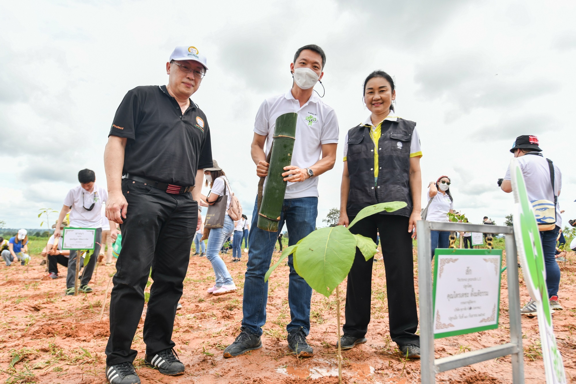ศุภาลัย ชวนพันธมิตรธุรกิจ “สร้างดี” เพิ่มพื้นที่ป่าชุมชน_04