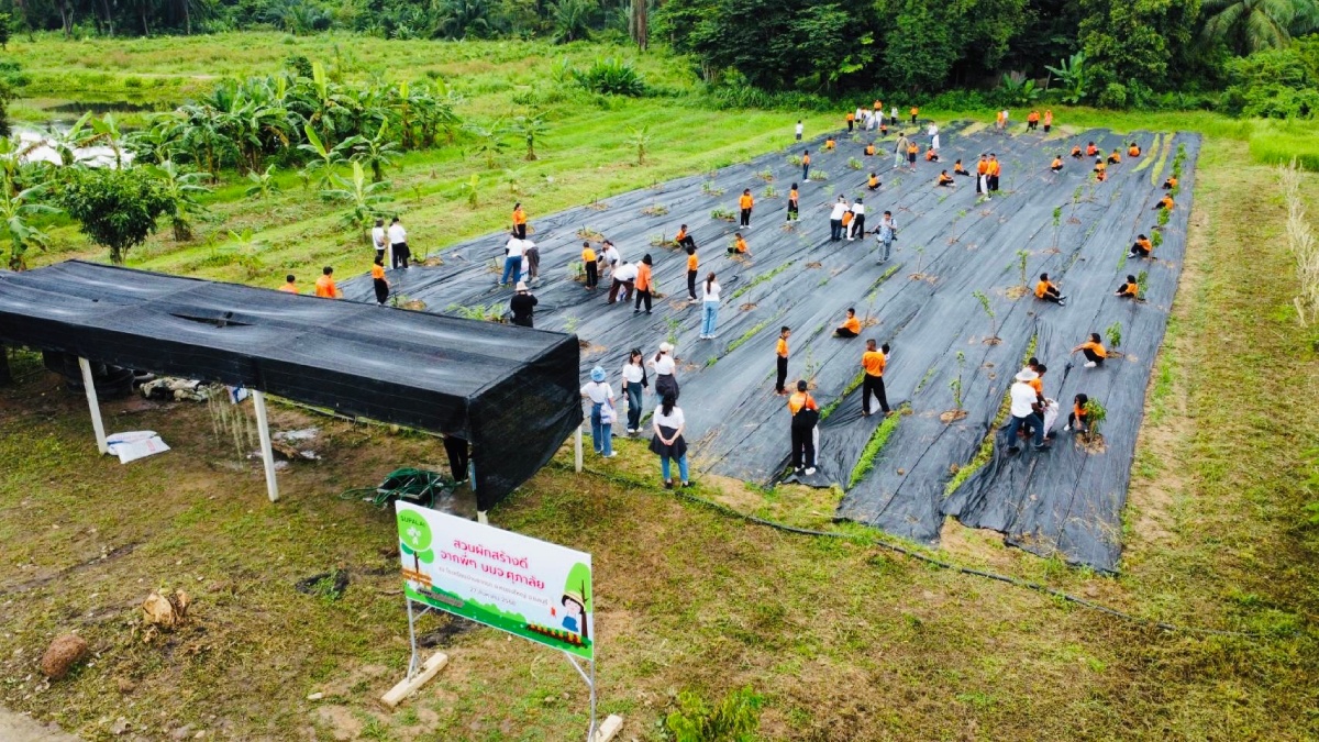 สวนผักสร้างดี_15